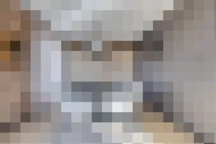 Veldzoom 2 Reeuwijk thumbnail 25