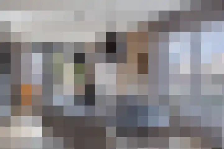 Veldzoom 2 Reeuwijk thumbnail 26