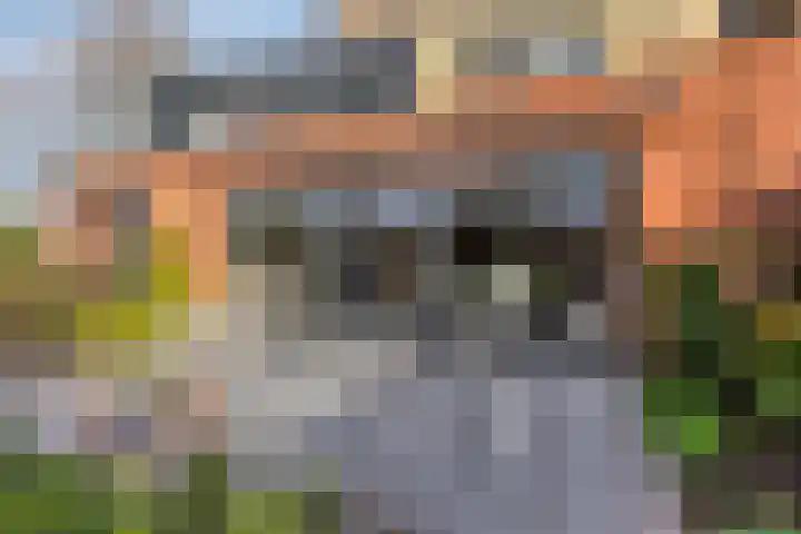 Veldzoom 2 Reeuwijk thumbnail 29