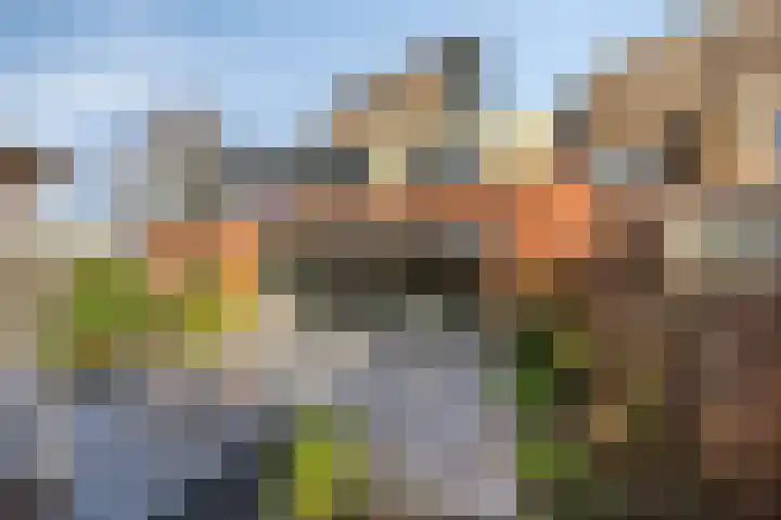 Veldzoom 2 Reeuwijk thumbnail 30