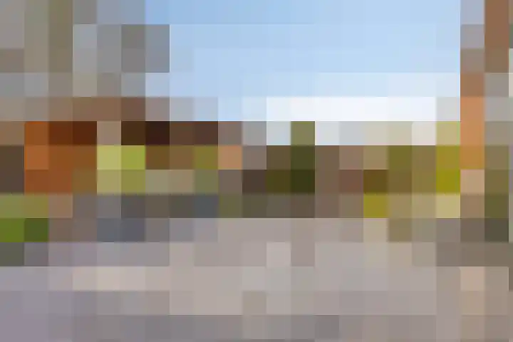 Veldzoom 2 Reeuwijk thumbnail 32