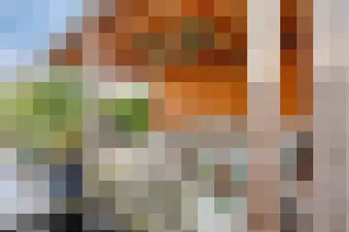 Veldzoom 2 Reeuwijk thumbnail 33