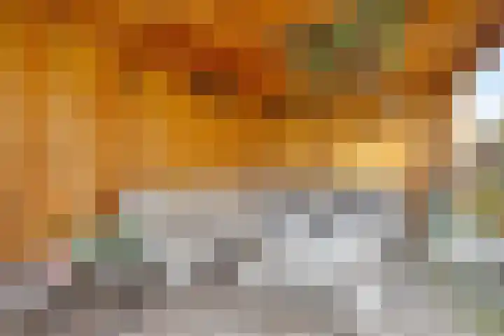 Veldzoom 2 Reeuwijk thumbnail 34