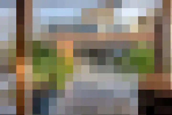 Veldzoom 2 Reeuwijk thumbnail 35