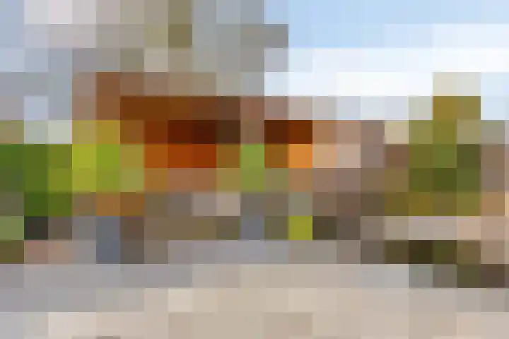 Veldzoom 2 Reeuwijk thumbnail 4