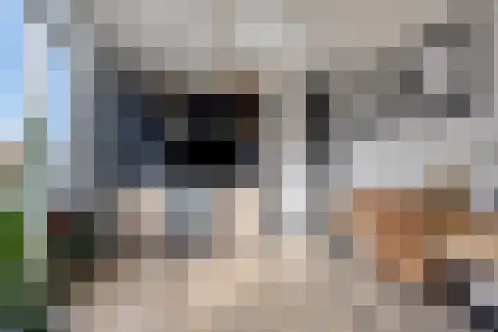 Veldzoom 2 Reeuwijk thumbnail 47