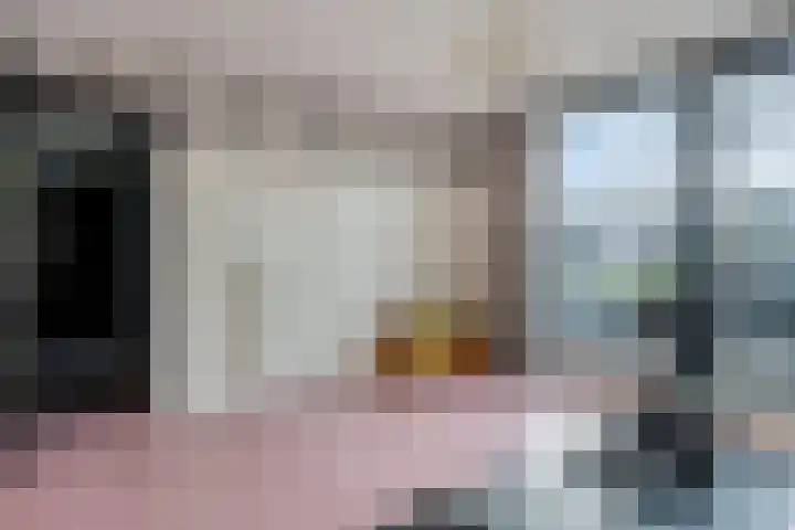 Veldzoom 2 Reeuwijk thumbnail 55