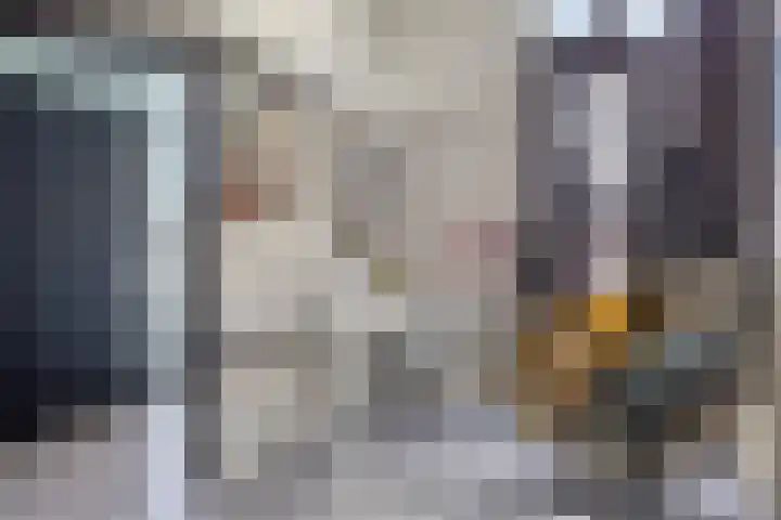 Veldzoom 2 Reeuwijk thumbnail 59
