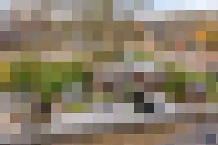 Veldzoom 2 Reeuwijk thumbnail 62