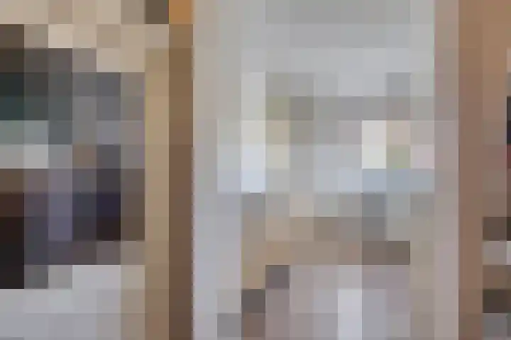 Veldzoom 2 Reeuwijk thumbnail 65