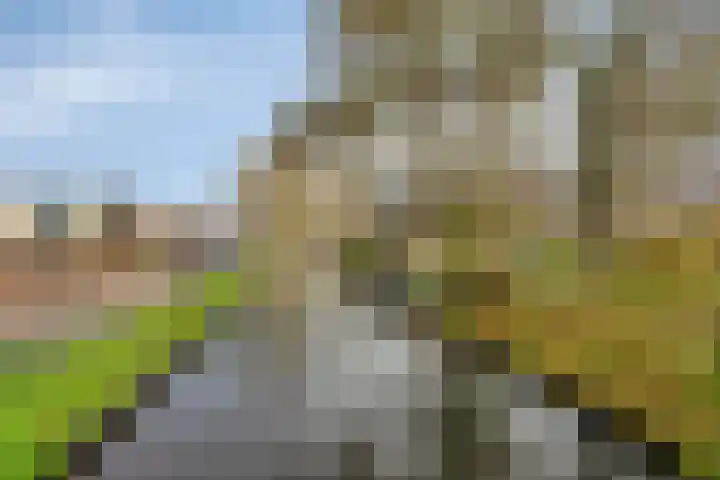 Veldzoom 2 Reeuwijk thumbnail 70