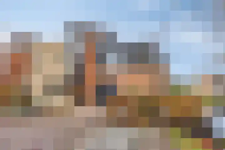 Veldzoom 2 Reeuwijk thumbnail 71