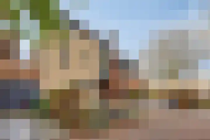 Veldzoom 2 Reeuwijk thumbnail 72