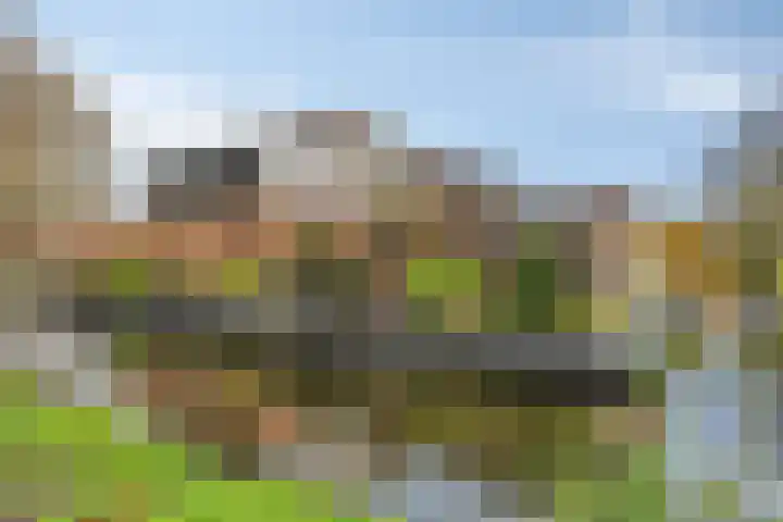 Veldzoom 2 Reeuwijk thumbnail 73