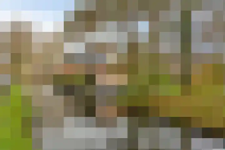 Veldzoom 2 Reeuwijk thumbnail 74