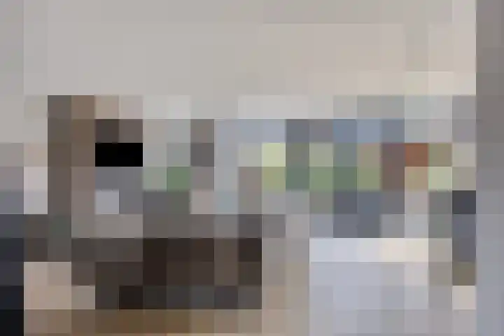 Veldzoom 2 Reeuwijk thumbnail 8