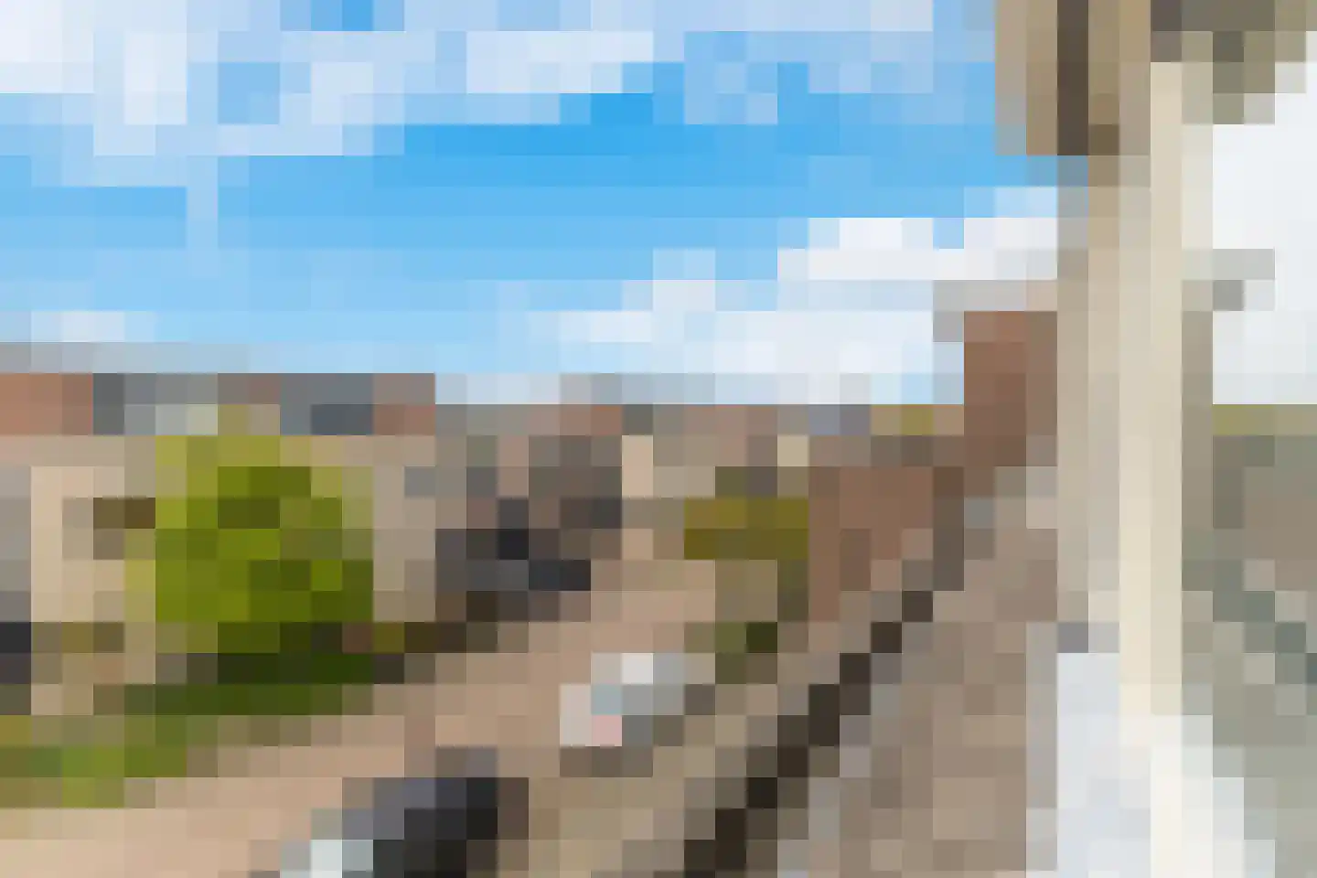 Veldzoom 75 Stolwijk thumbnail 32