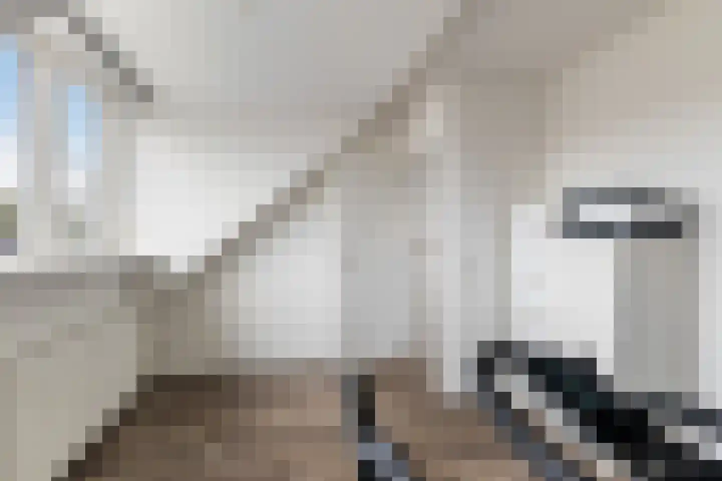 Veldzoom 75 Stolwijk thumbnail 34