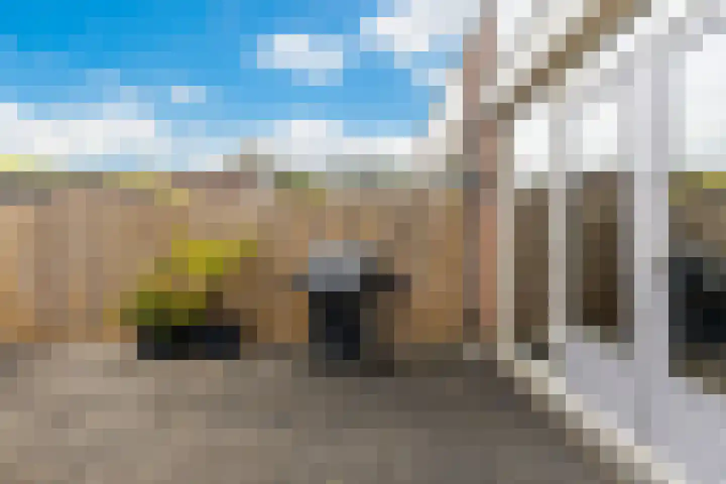 Veldzoom 75 Stolwijk thumbnail 41