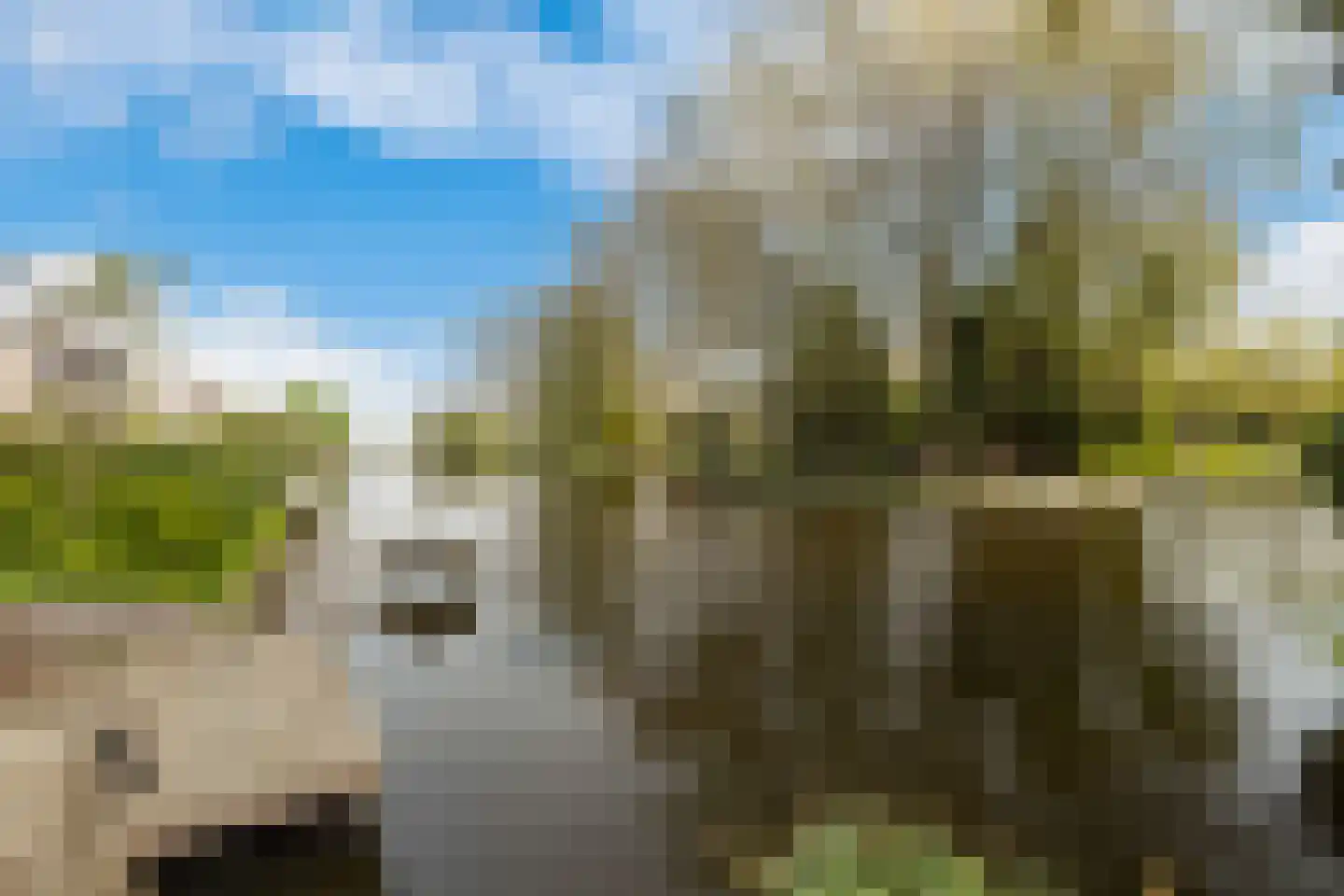 Veldzoom 75 Stolwijk thumbnail 42