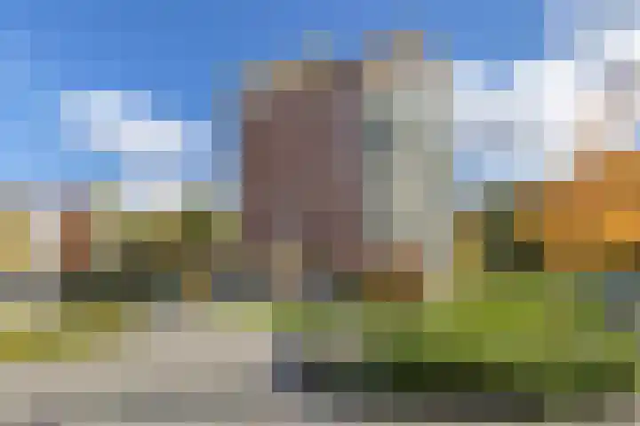 Veldzuring 103 Venlo thumbnail 37