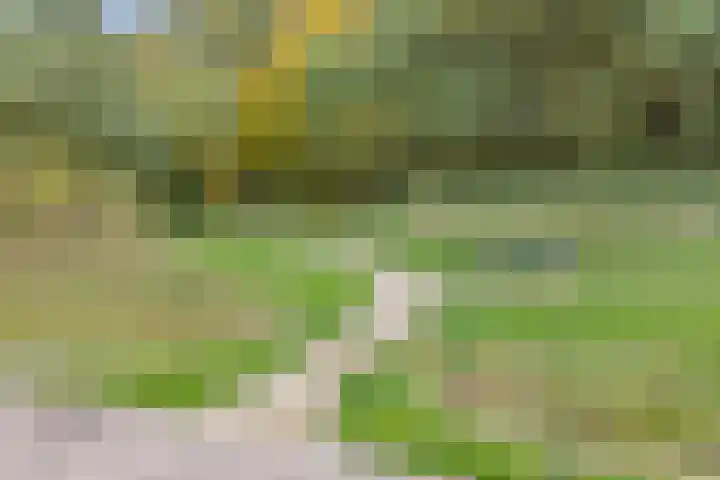 Veldzuring 103 Venlo thumbnail 39