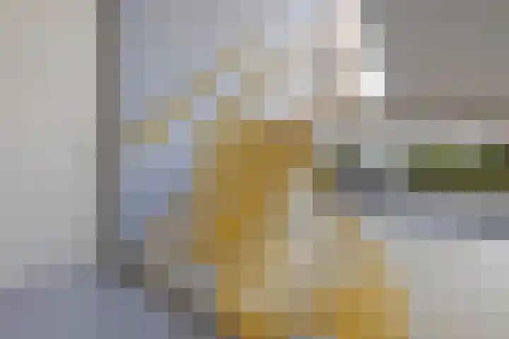 Veldzuring 103 Venlo thumbnail 7