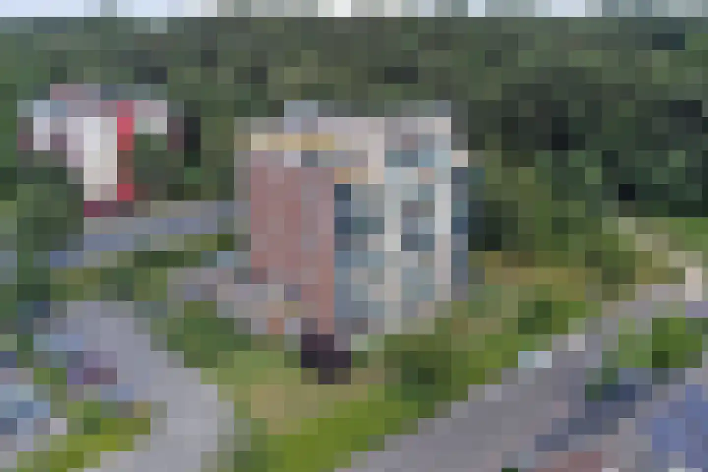 Veldzuring 109 dans Venlo
