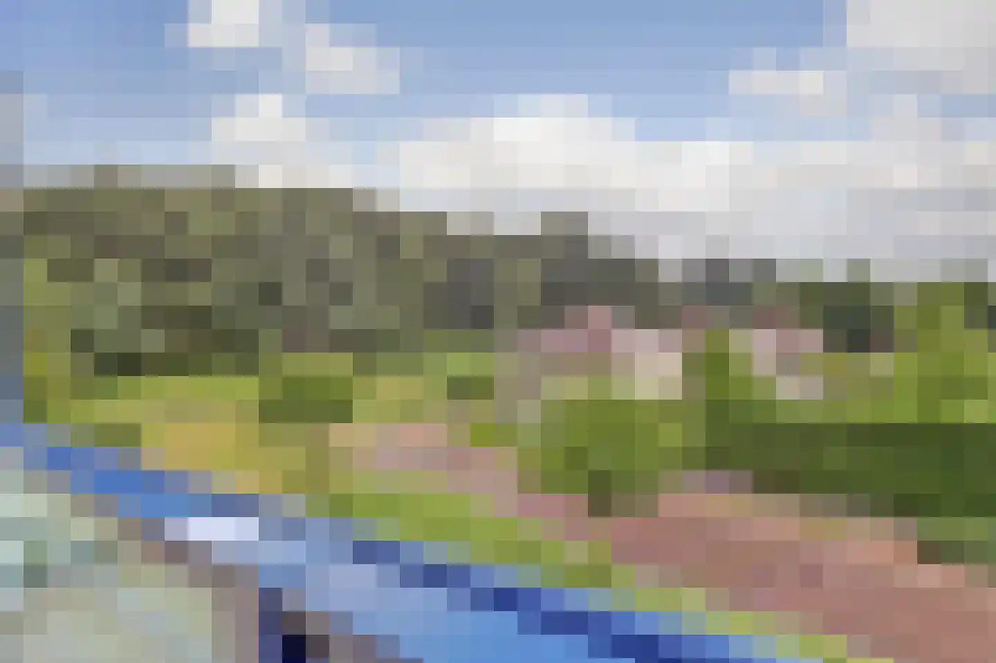 Veldzuring 109 Venlo thumbnail 17