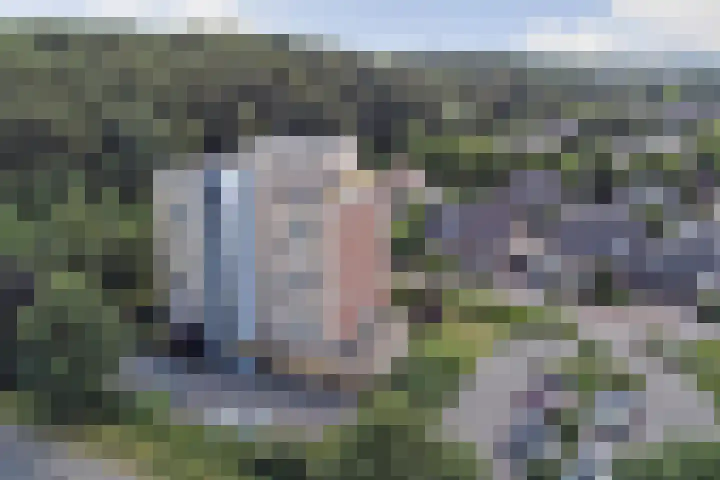 Veldzuring 109 Venlo thumbnail 18