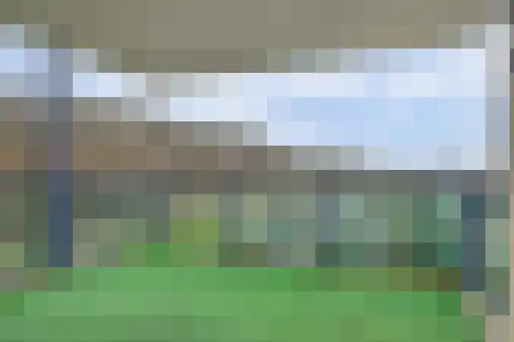 Veldzuring 119 Venlo thumbnail 14