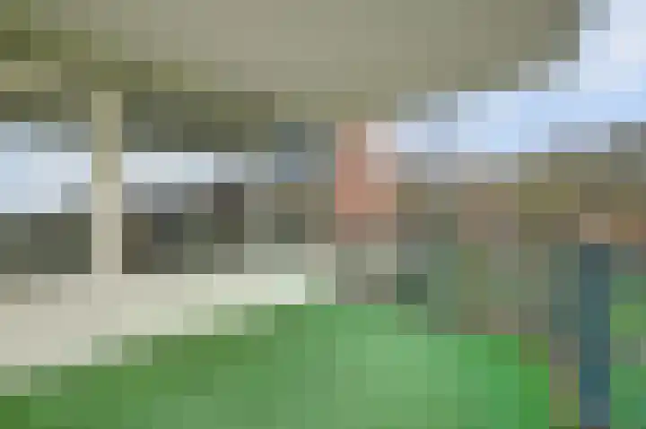 Veldzuring 119 Venlo thumbnail 15