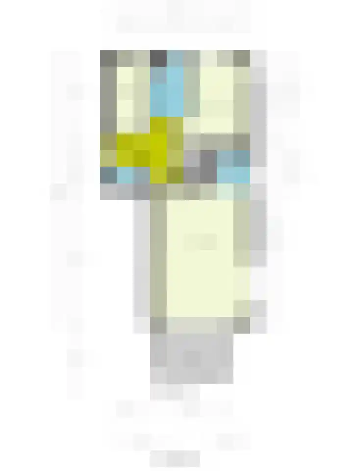 Veldzuring 119 Venlo thumbnail 20
