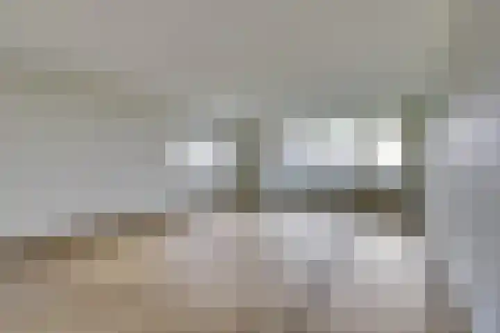 Veldzuring 119 Venlo thumbnail 5