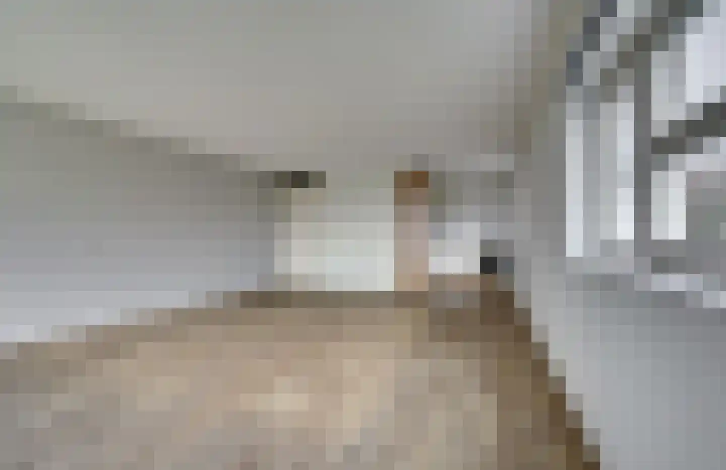Veldzuring 119 Venlo thumbnail 6