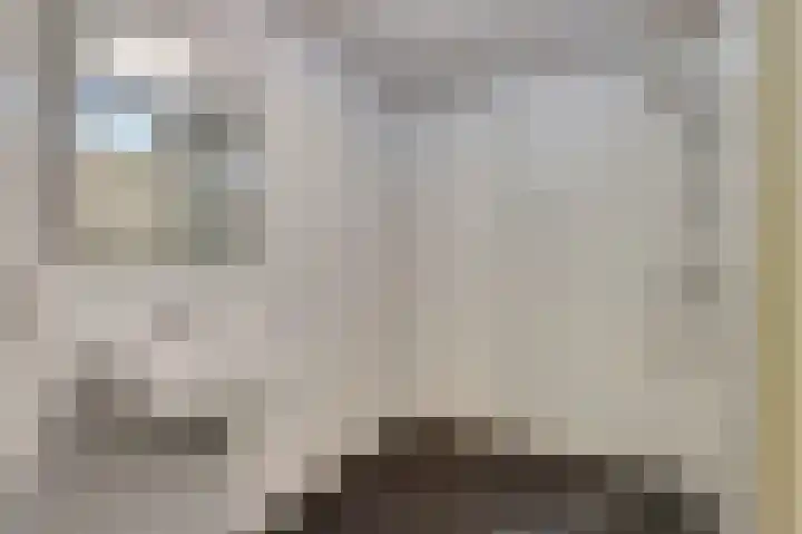 Veldzuring 127 Venlo thumbnail 10