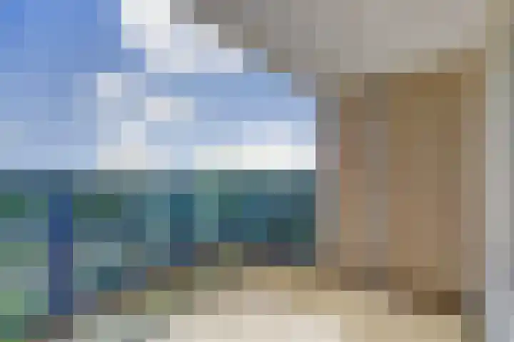 Veldzuring 127 Venlo thumbnail 15