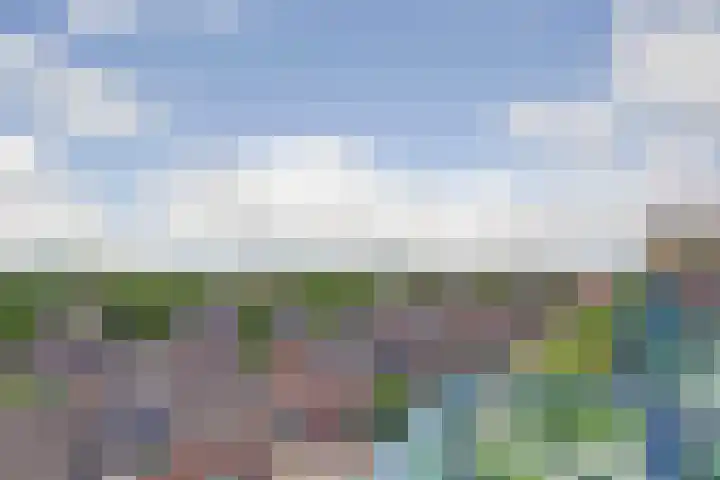 Veldzuring 127 Venlo thumbnail 16