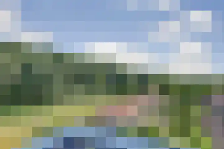 Veldzuring 127 Venlo thumbnail 17