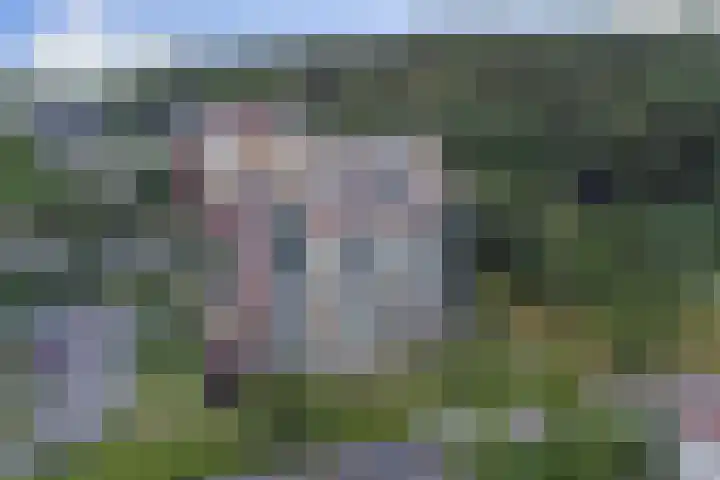 Veldzuring 127 Venlo thumbnail 21