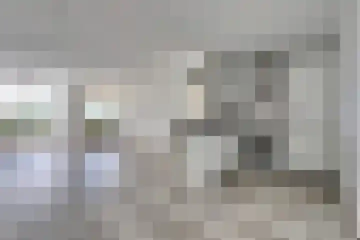 Veldzuring 127 Venlo thumbnail 6