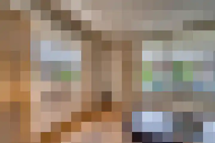 Veldzuring 21 Venlo thumbnail 10