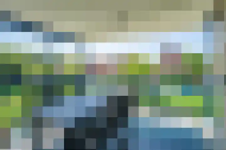 Veldzuring 21 Venlo thumbnail 12