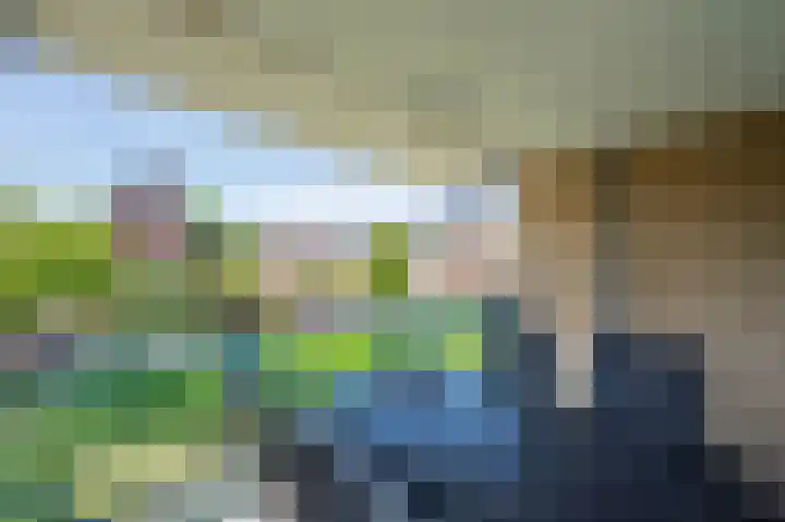 Veldzuring 21 Venlo thumbnail 13