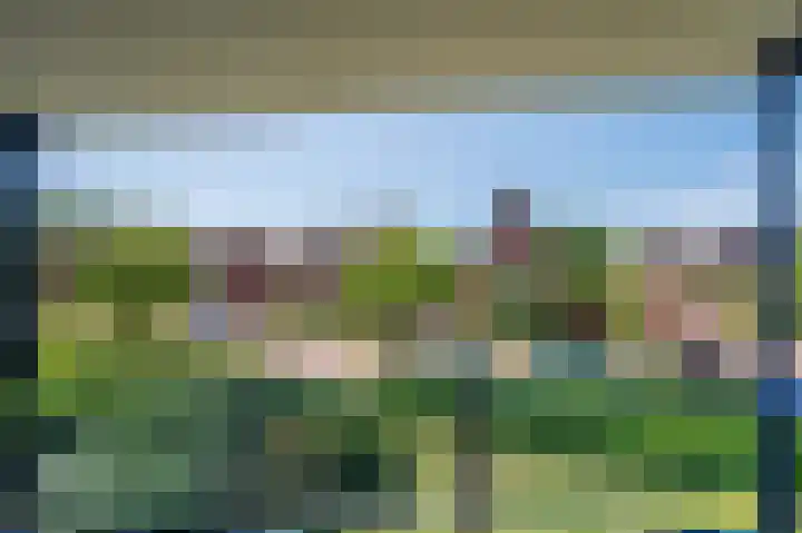 Veldzuring 21 Venlo thumbnail 14