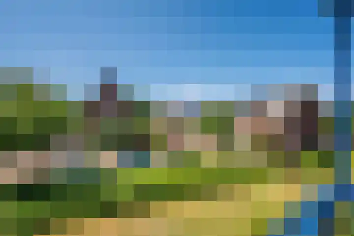 Veldzuring 21 Venlo thumbnail 15