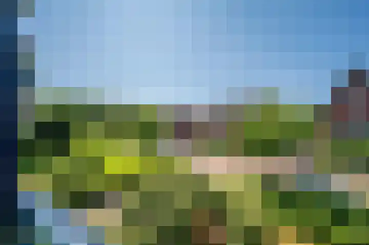 Veldzuring 21 Venlo thumbnail 16