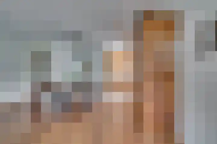 Veldzuring 21 Venlo thumbnail 17