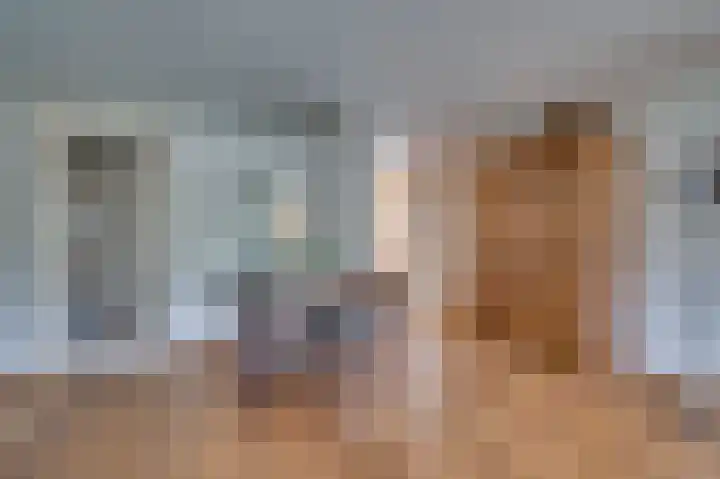 Veldzuring 21 Venlo thumbnail 18