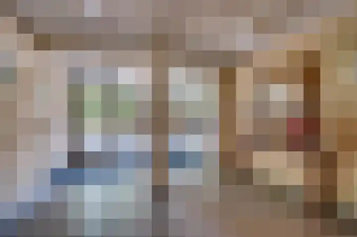Veldzuring 21 Venlo thumbnail 36